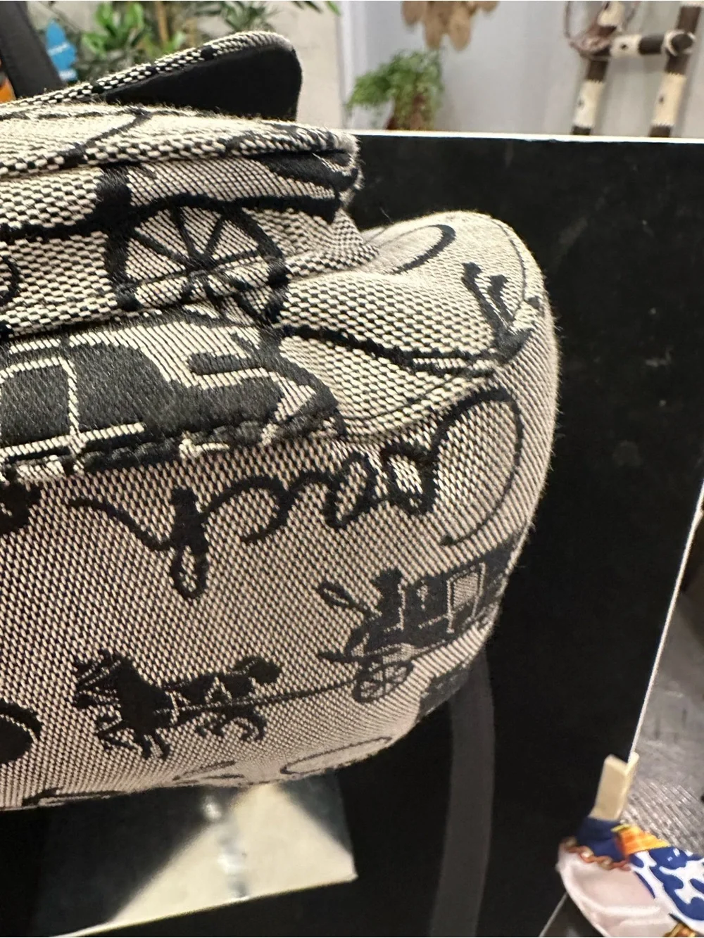 Coach  Chelsea Horse and Carriage Black and Cream Signature Canvas